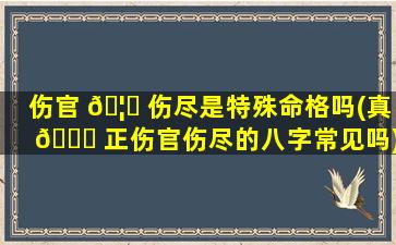 伤官 🦆 伤尽是特殊命格吗(真 🐕 正伤官伤尽的八字常见吗)